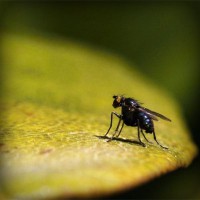 /album/terrecounvi/photolia-a07-jpg/